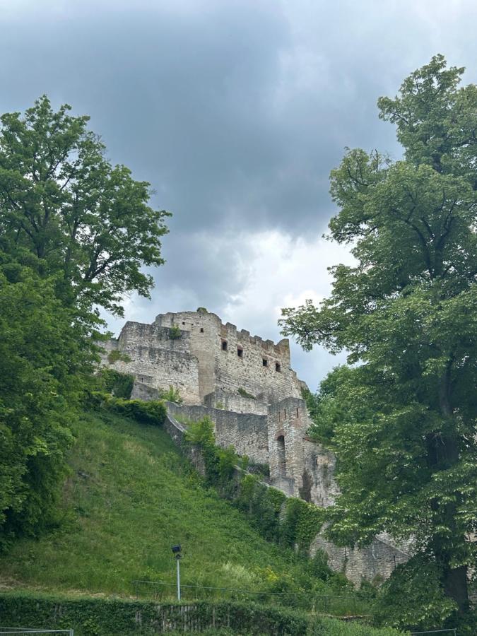 Ferienwohnung Zur Roni Treuchtlingen Kültér fotó